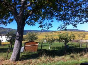 Appartements Apartment Cali Elina : photos des chambres