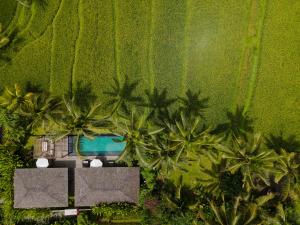 Kappa Senses Ubud