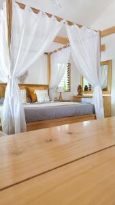 Mandala Tribe Treehouses