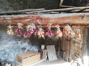 B&B / Chambres d'hotes Les Bessonnes : photos des chambres