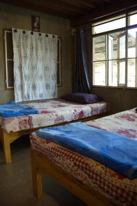 Art House at Chiangdao - Waterlily House