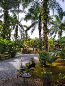 Palm Tian Home A12