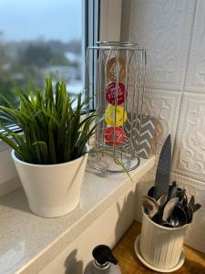 Apartment Jodłowa Gdansk Stogi