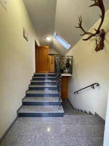 Apartamenty i pokoje Borysek