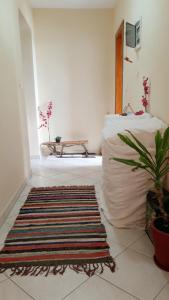 Sunny apartment in quiet part of centre