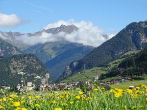 Alpenfrieden - Nauders