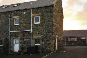 Spinnaker - 滨海牛顿