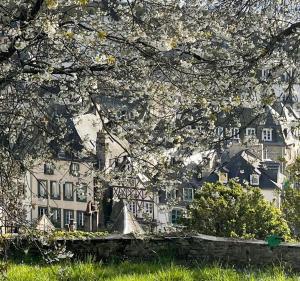 Appartements Cosy et jardin panoramique : photos des chambres