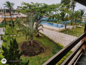 Colônia Virtual Net