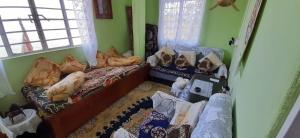 Swastika Homestay and Travels Kurseong Bazar Near HDFC Bank NH55 Road Kurseong