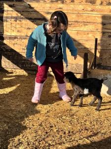 giagias family farm