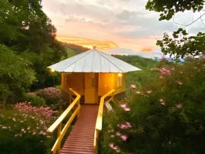 Jardim Suspenso da Babilônia - Pinhalzinho