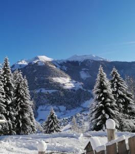 Ferienhütte Sternenblick