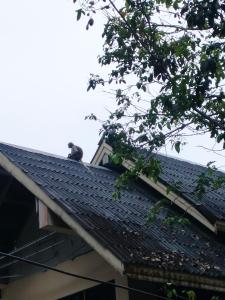 Garden View Resort Tonsai