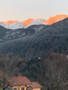 Chalets Chalet Anzac Chalet 5 Etoiles en Rondins Tout Neuf Unique dans les Aravis : photos des chambres