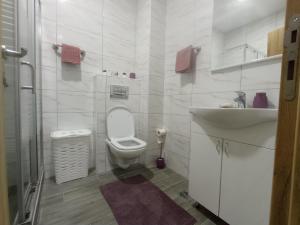Apartman Ledine
