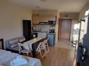 Студио Пацо и Нина в AspenValley