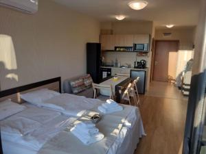 Студио Пацо и Нина в AspenValley