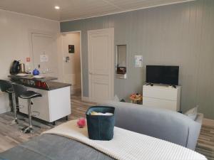 Appartements VITTEL LOC'S - LE 216, classe 3 etoiles proche des Thermes et tous commerces : photos des chambres