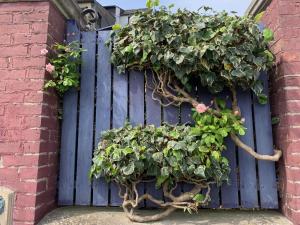 Sejours chez l'habitant Purple House : photos des chambres