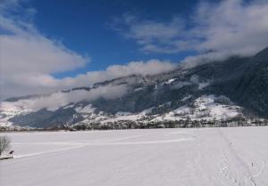 Apartment Filzenkogel