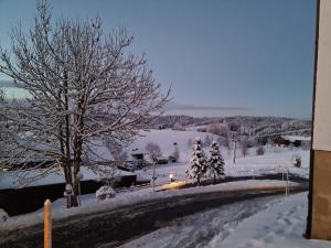 Ferienwohnung Missen-Wilhams mit Pool und Sauna