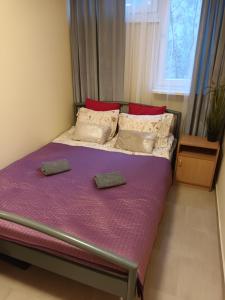 Apartament Pereca 2