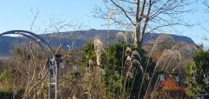 Rosemount - Carrowbunnauna