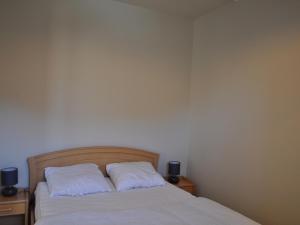 Appartement lumineux 2 chambres, proche télécabine, centre-ville Châtel - FR-1-693-31