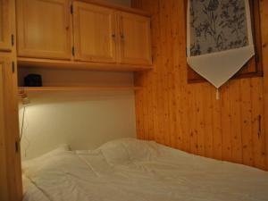 Charmant appartement à Petit-Châtel avec animaux admis - FR-1-693-15