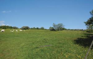 Holiday Home Simrishamn Lxxv