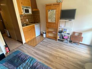 Appartements Studio Abondance, 1 piece, 4 personnes - FR-1-692-79 : photos des chambres