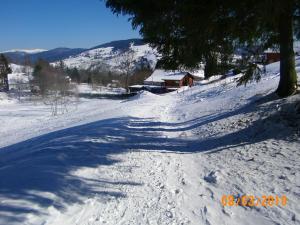 Maisons de vacances Chalet familial a La Bresse, proche randonnees, WIFI, animaux admis - FR-1-589-425 : photos des chambres