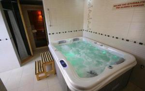 Double Room with Lake View room in Guest House Vila Alexandar