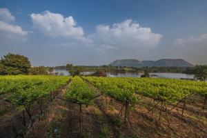 SaffronStays Lake House Bouganvillea, Nashik - rustic pool villa with great lake views and patio dining
