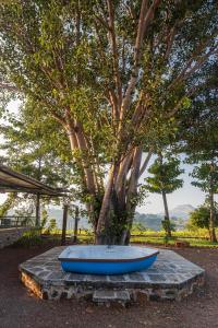 SaffronStays Lake House Bouganvillea, Nashik - rustic pool villa with great lake views and patio dining