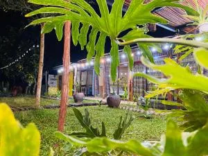 Nhà của Nếp - Thăng Ðức