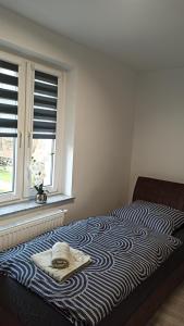 Apartament Zdrojowy II