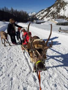 Appartements Cret de l'ours ski au pied vue sur le mont b : photos des chambres