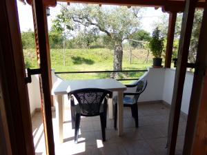 Studio with Garden View