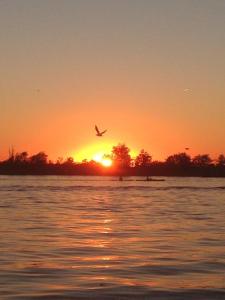 Top appartement in prachtige hart van Nederland Kortenhoef