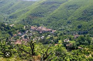 belle des cévennes