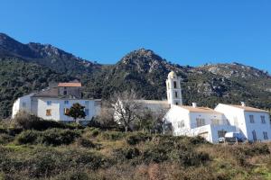 Maisons de vacances Authentique Maison de Village Corse Vue mer : photos des chambres