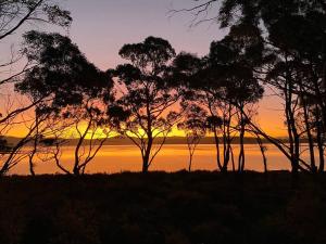 Periwinkle at Great Bay