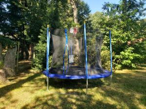 La Casa del Árbol Villarrica Cabañas-Piscina-Tinajas
