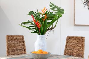 Botanica Aguila Chic Nightcliff Balcony Pad
