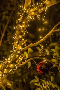 Trulli Donna Isabella