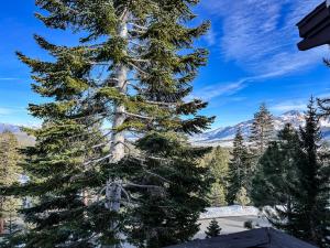 Mammoth Point #106 condo