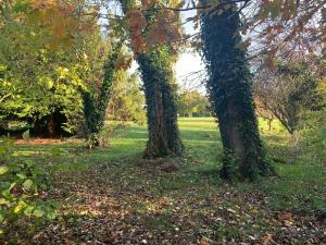 La Bureliere- Holiday home for families, groups and couples