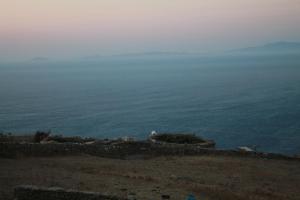 Alitanes Folegandros Greece